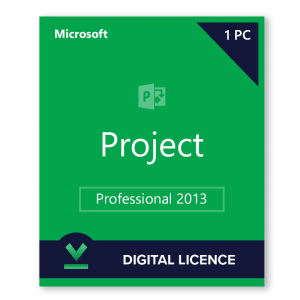 Project 2013 Professional