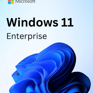 Windows 11 Enterprise