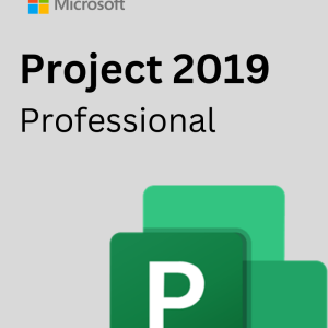 Microsoft  Project  2019 Professional