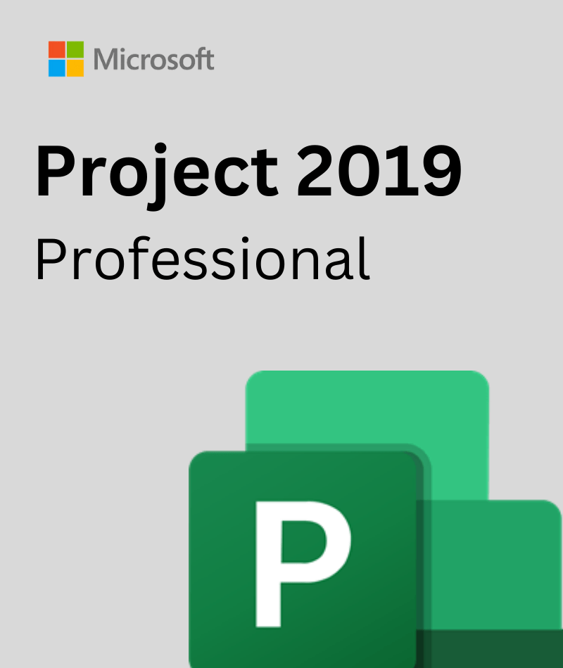 Microsoft Project 2019 Professional