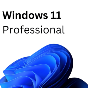 Windows 11 Professional – Lifetime License Key
